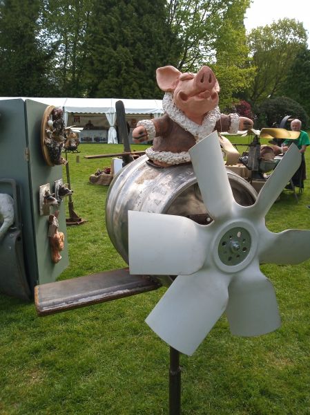 Piggles in action: Swipe To View More Images