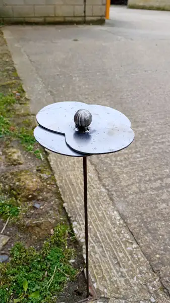 Poppy: Swipe To View More Images