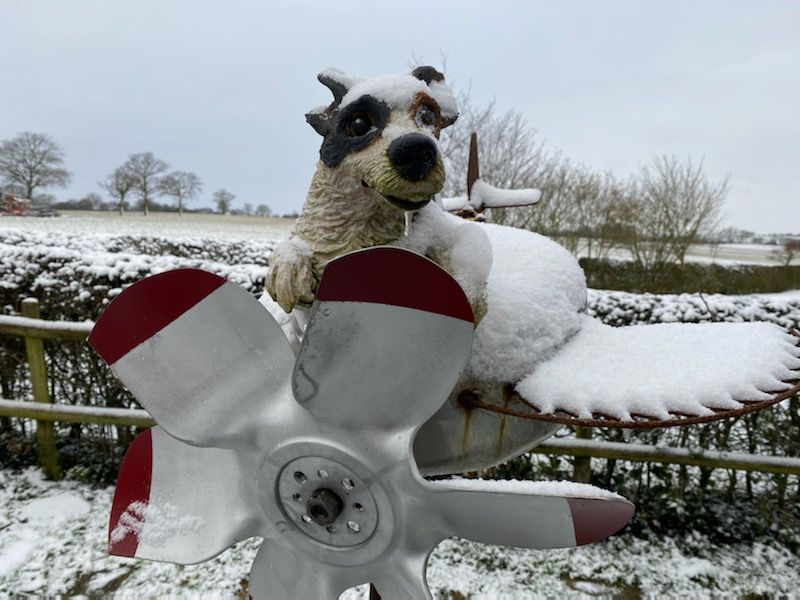 High flying hare craft.: Swipe To View More Images