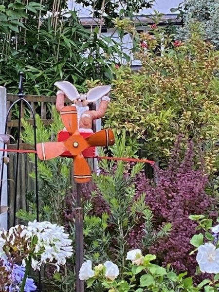 Harry the Hareplane pilot. Photo thanks to his owner.: Swipe To View More Images