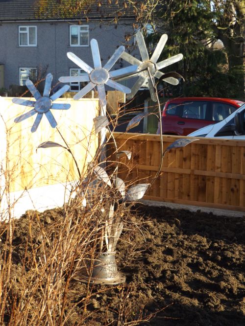 Click Here To Enlarge This Photo Of 3 Daisies