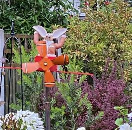 Harry the Hareplane pilot. Photo thanks to his owner.: Click Here To View Larger Image